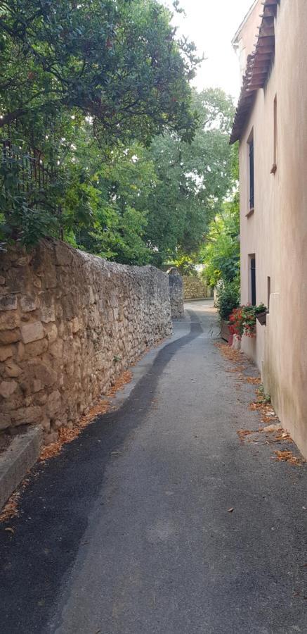 Jolie Maison De Ville La Petite Magnanerie La Roque-d'Antheron Exterior photo